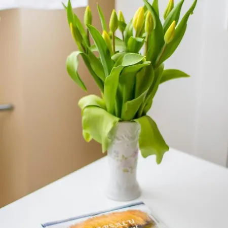 Apartment Niine 11 *