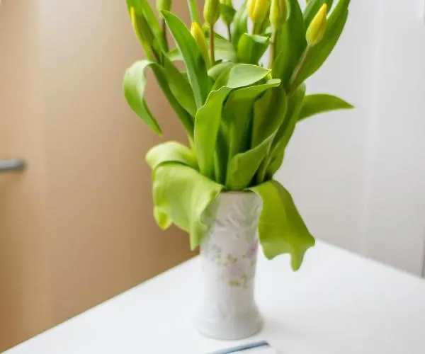 Appartement Niine 11 *